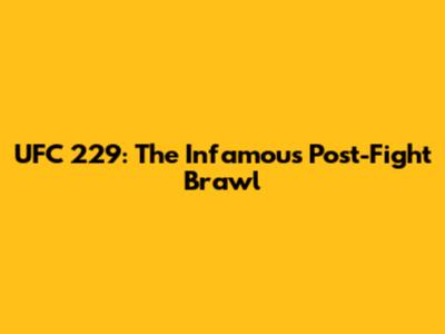 UFC 229: The Infamous Post-Fight Brawl