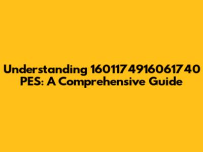 Understanding 1601174916061740 PES: A Comprehensive Guide