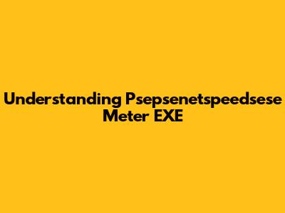 Understanding Psepsenetspeedsese Meter EXE