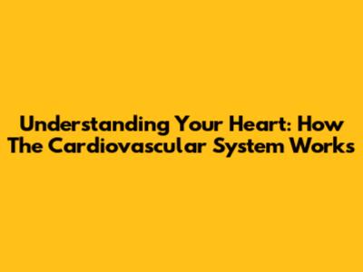 Understanding Your Heart: How The Cardiovascular System Works