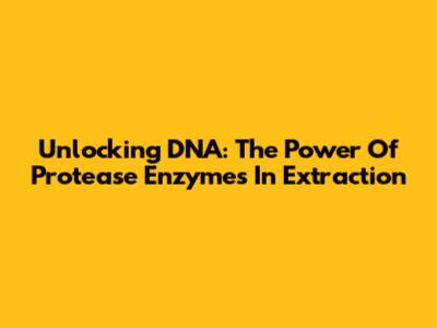 Unlocking DNA: The Power Of Protease Enzymes In Extraction