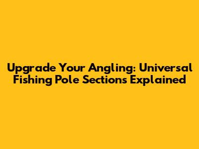 Upgrade Your Angling: Universal Fishing Pole Sections Explained