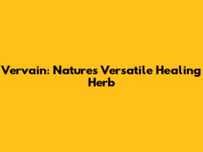 Vervain: Nature's Versatile Healing Herb