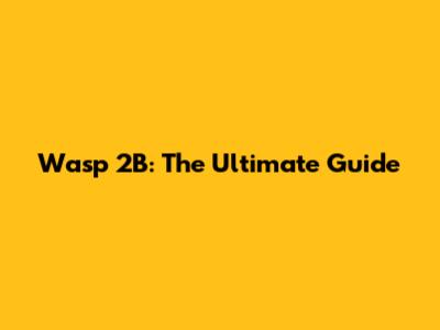 Wasp 2B: The Ultimate Guide