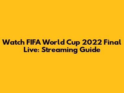 Watch FIFA World Cup 2022 Final Live: Streaming Guide
