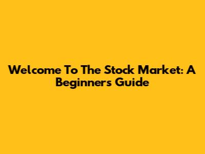 Welcome To The Stock Market: A Beginner's Guide