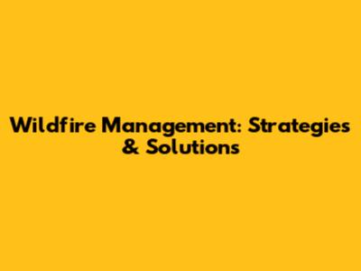 Wildfire Management: Strategies & Solutions
