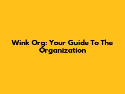 Wink Org: Your Guide To The Organization