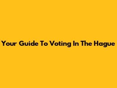 Your Guide To Voting In The Hague